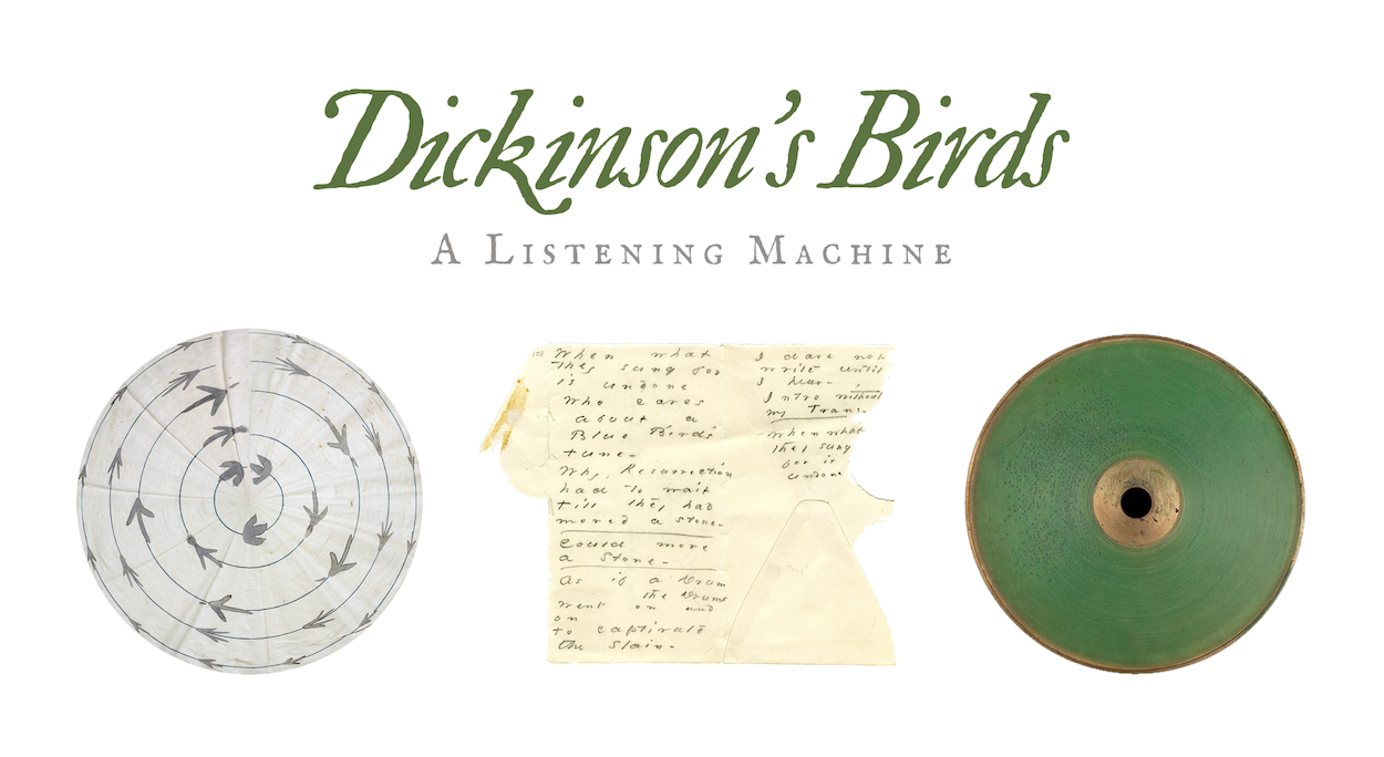 Dickinson's Birds project placeholder static image. Curated by Marta Werner, Rayne Broach, Patrick Bryant, Abe Kim, Caroline McCraw, Danielle Nasenbeny, and Will Sikich